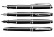 Набор Waterman Expert Black CT ручка перьевая в компл. чехол